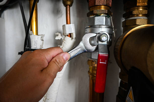 Best Affordable Plumbing Services  in Fox Lake Hls, IL